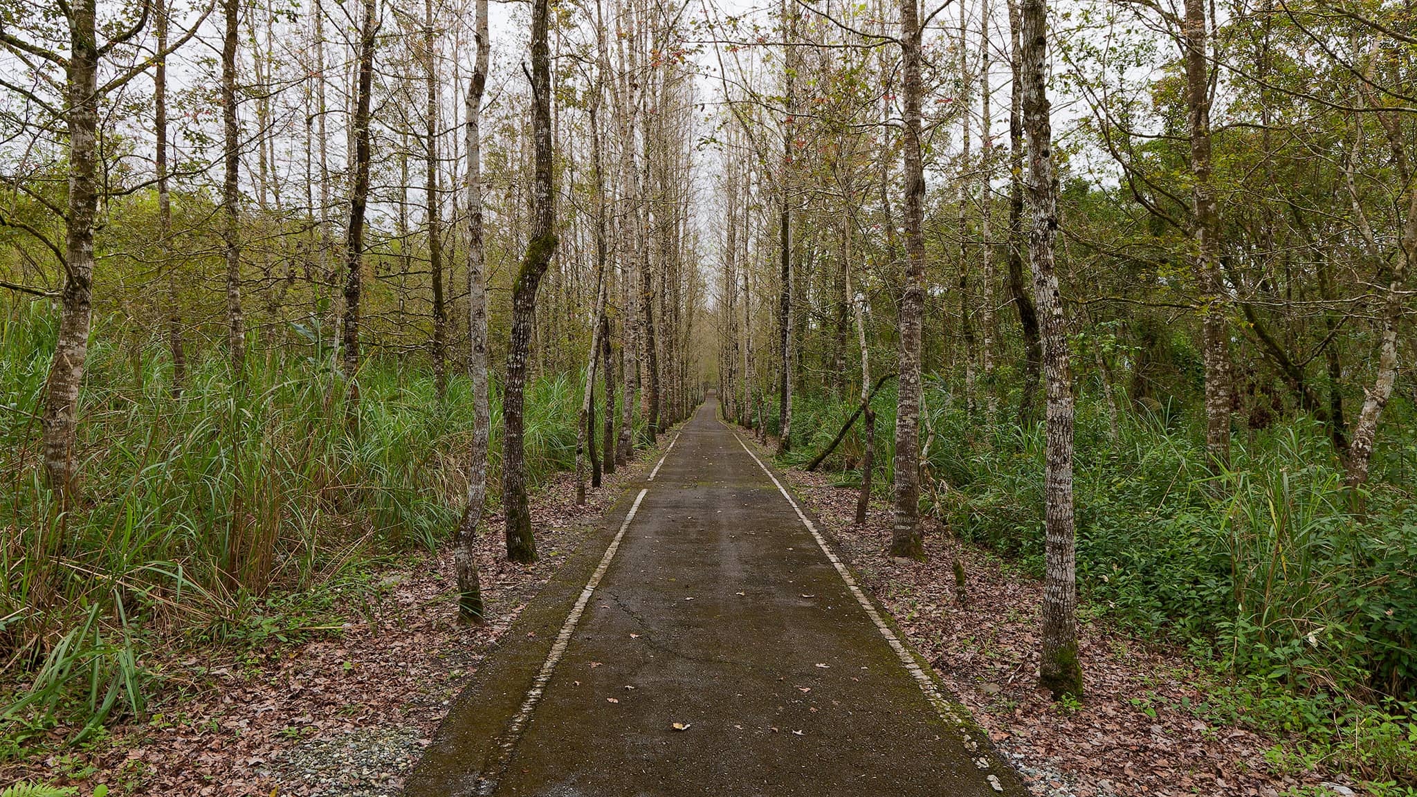 08 - Hualien (4).jpg